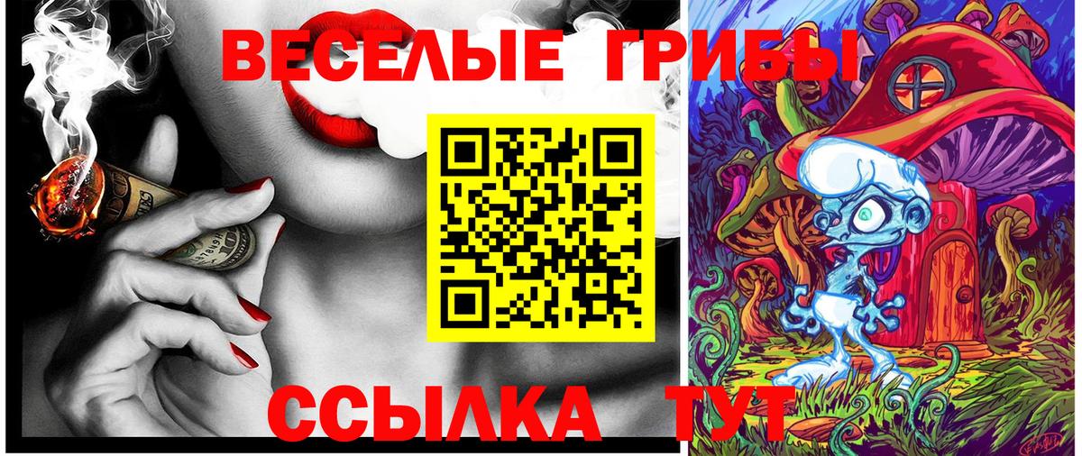 Псилоцибиновые грибы Cubensis Кореновск