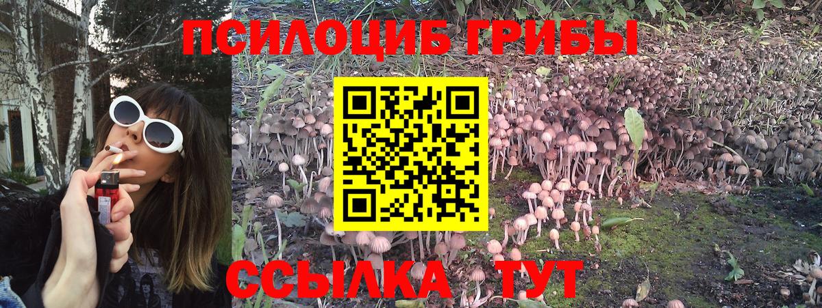 где купить наркоту  Галлюциногенные грибы мицелий  Вход с VPN  Кореновск 